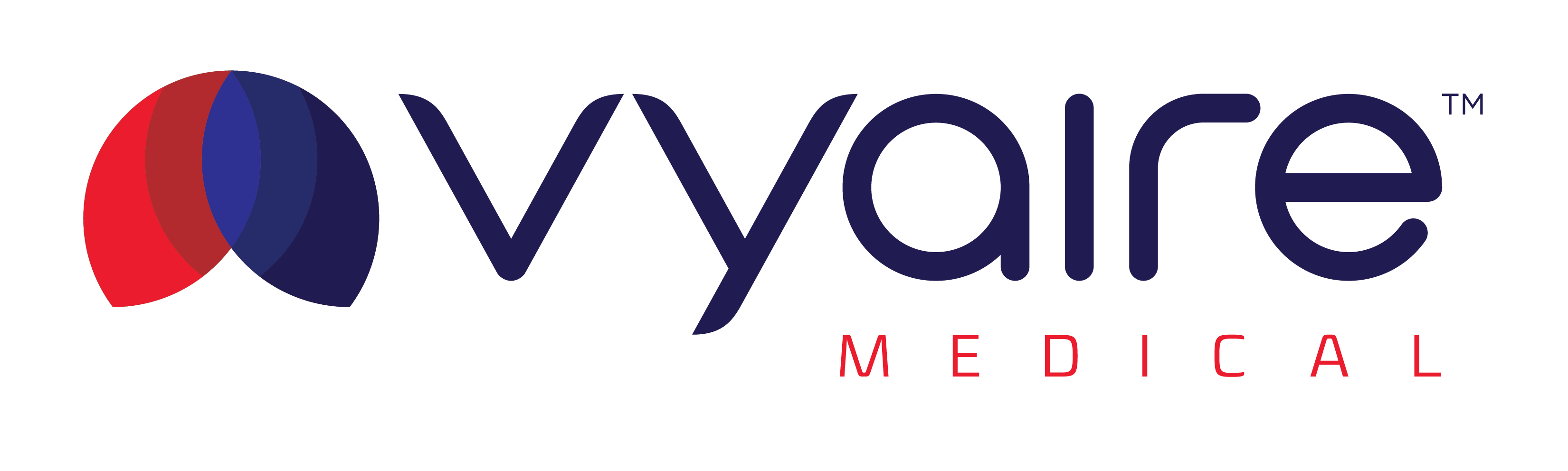 Logo 17 (Vyaire)